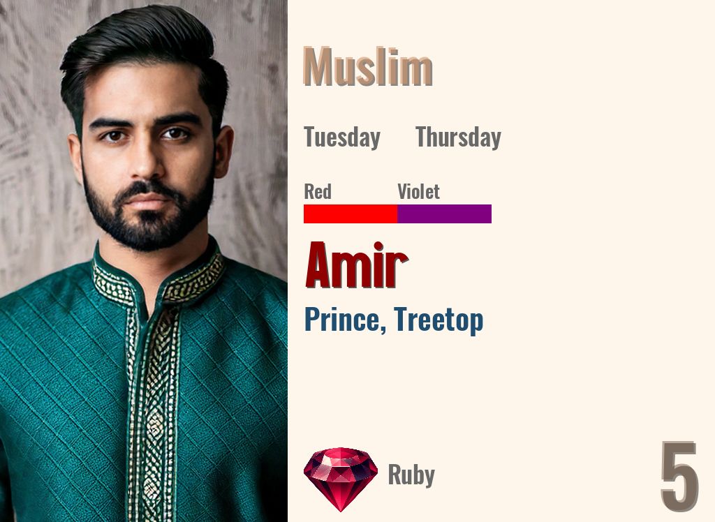 Amir