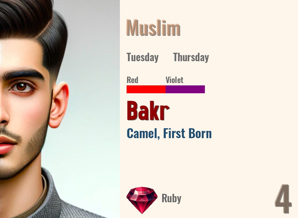 Bakr