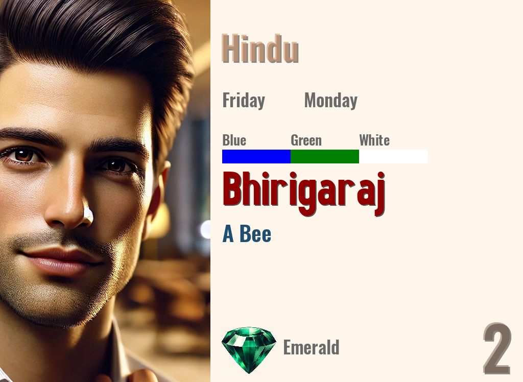 Bhirigaraj