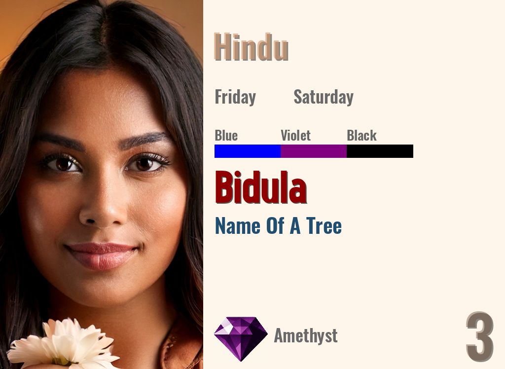 Bidula
