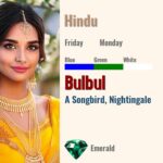 Bulbul