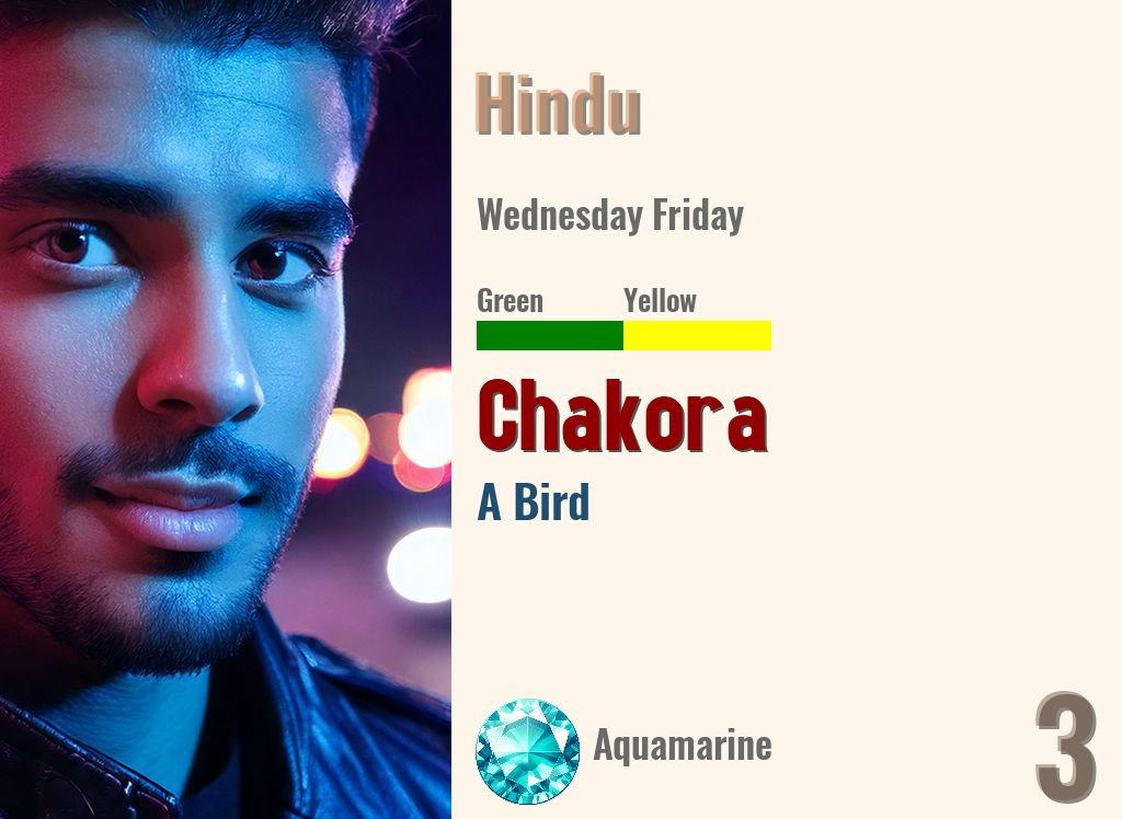 Chakora