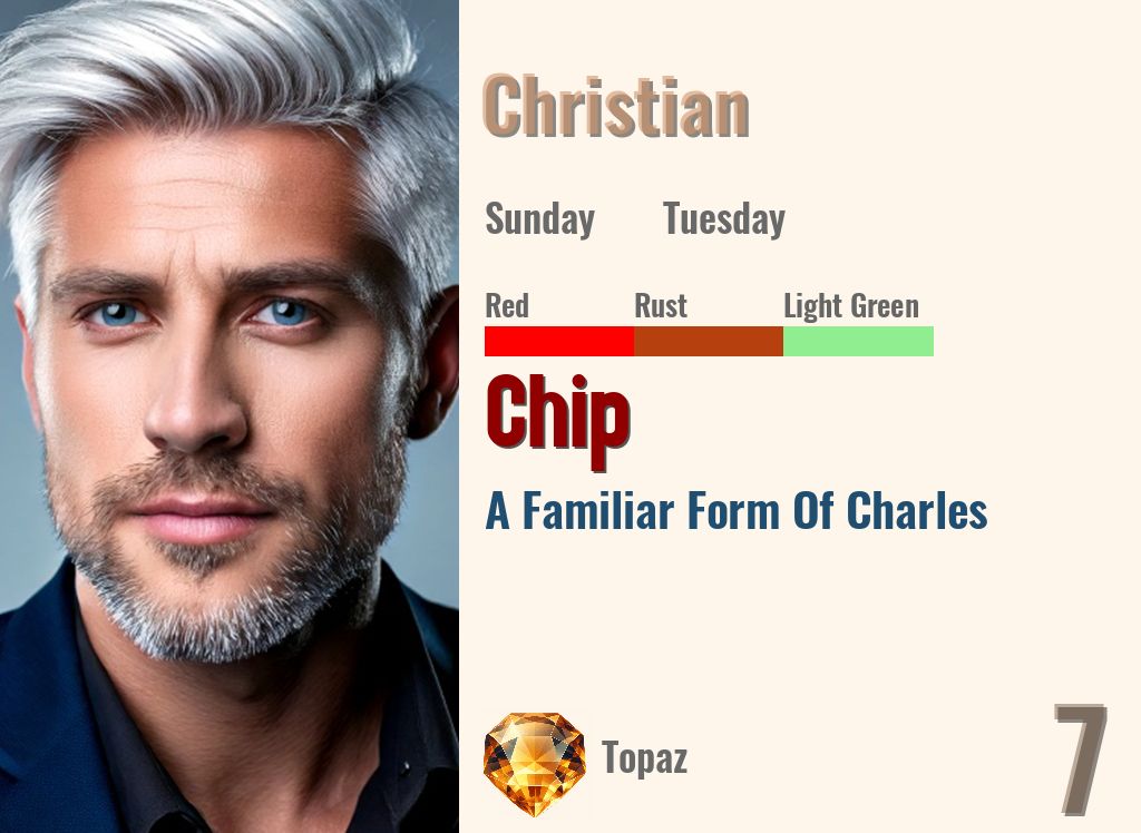 Chip