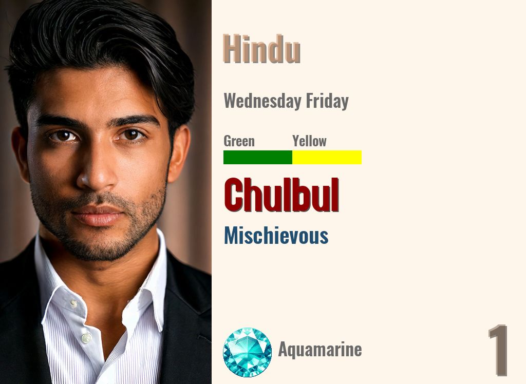 Chulbul