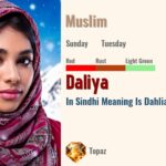 Daliya