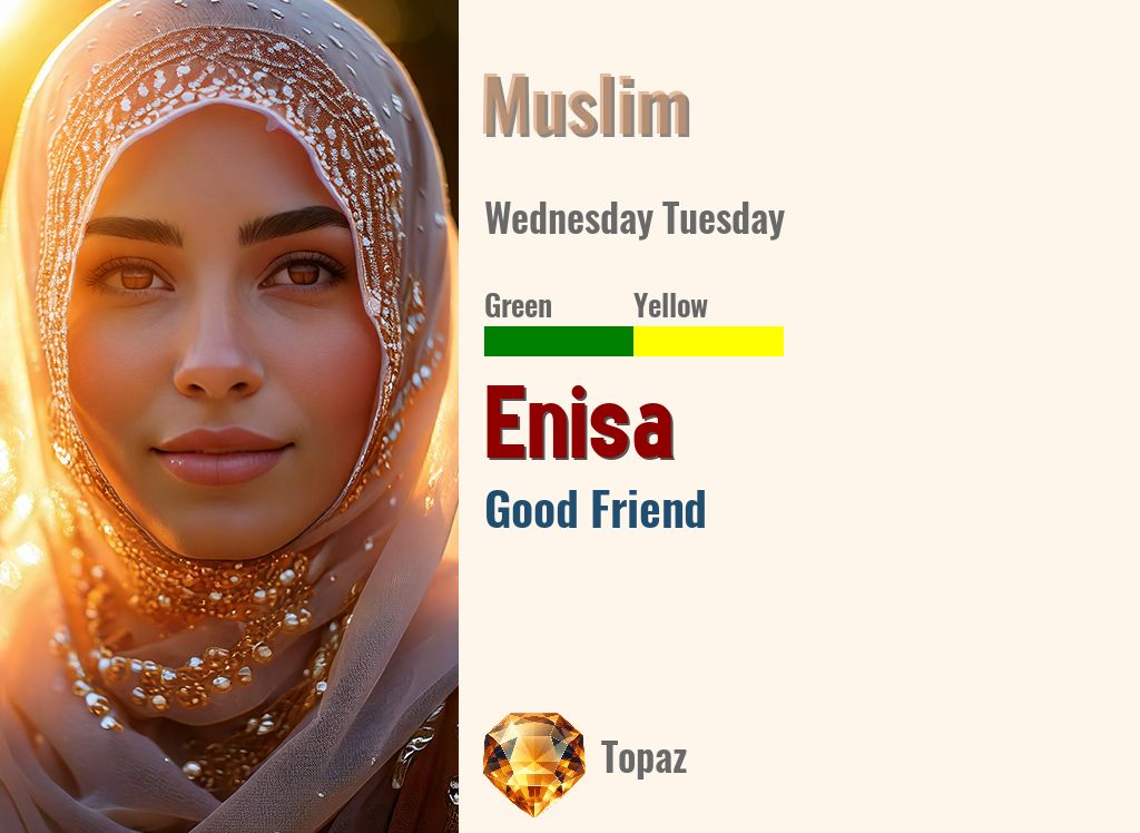 Enisa