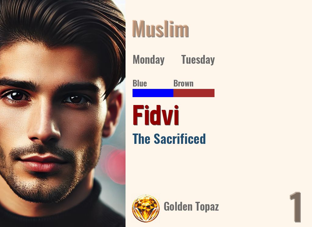Fidvi