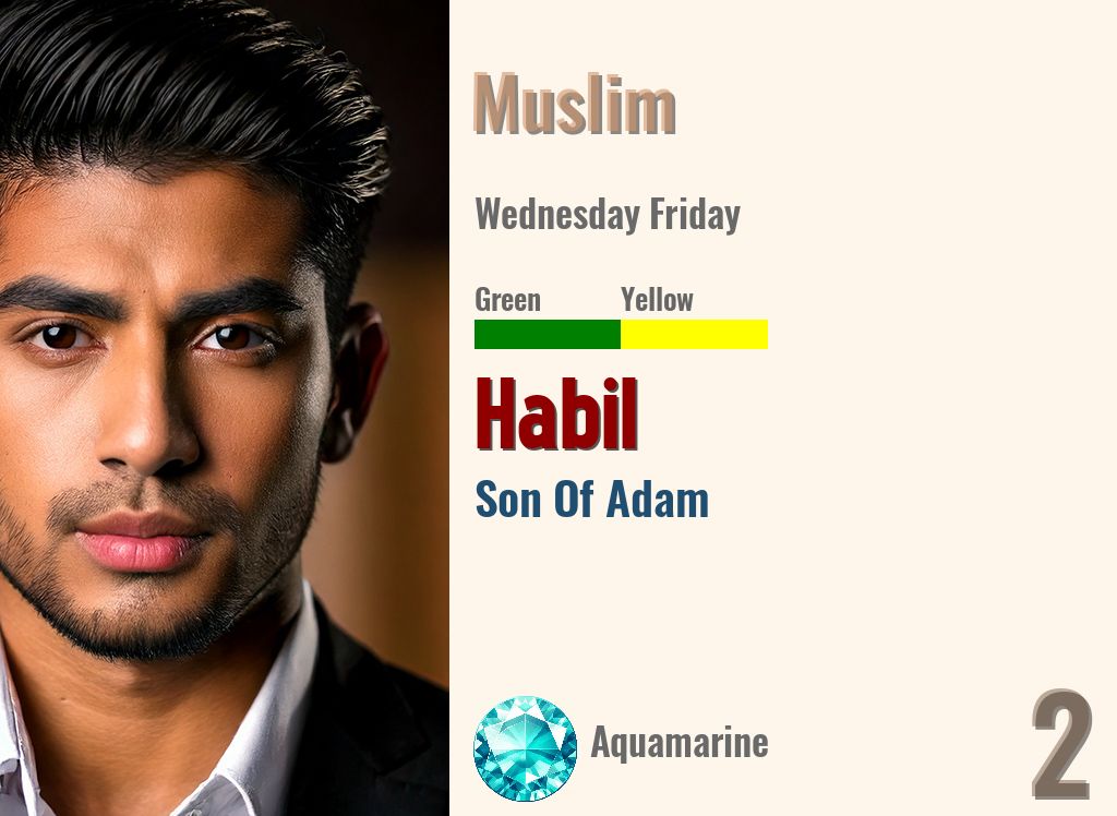 Habil