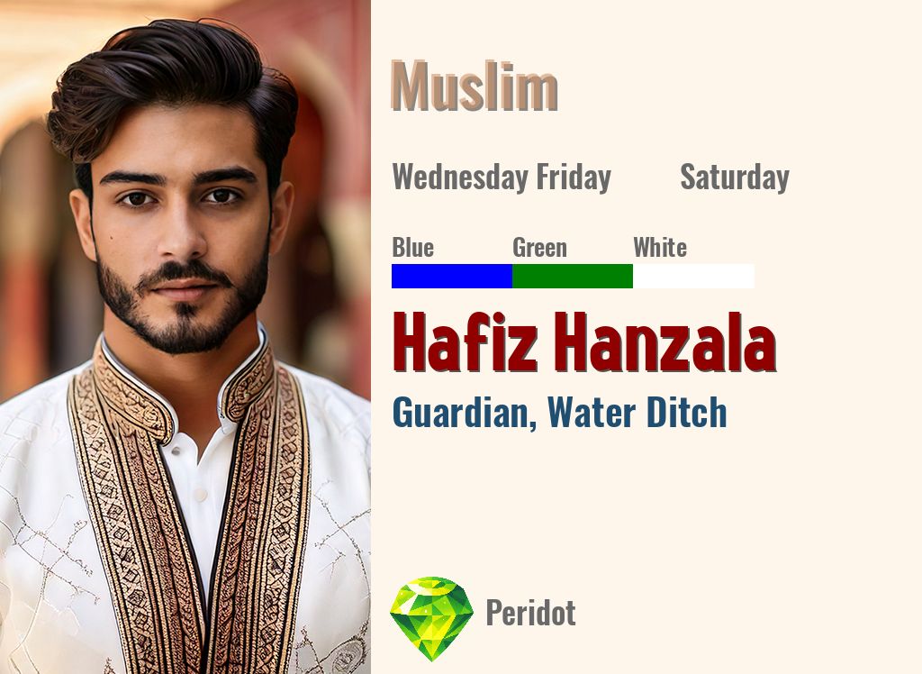 Hafiz Hanzala