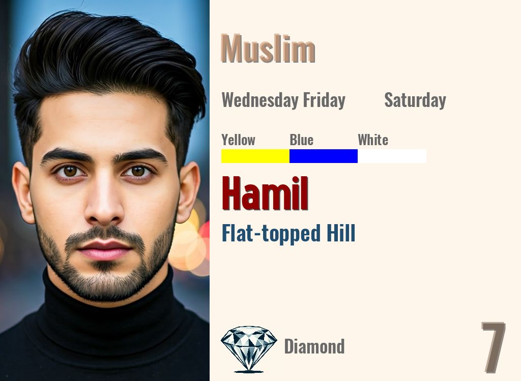 Hamil