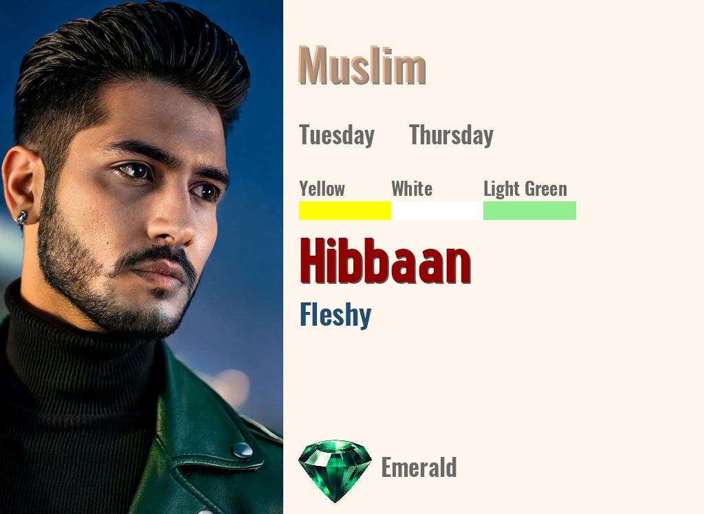 Hibbaan