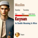 Kaysan