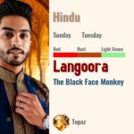 Langoora