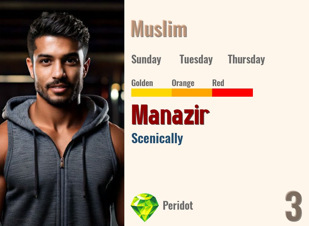 Manazir