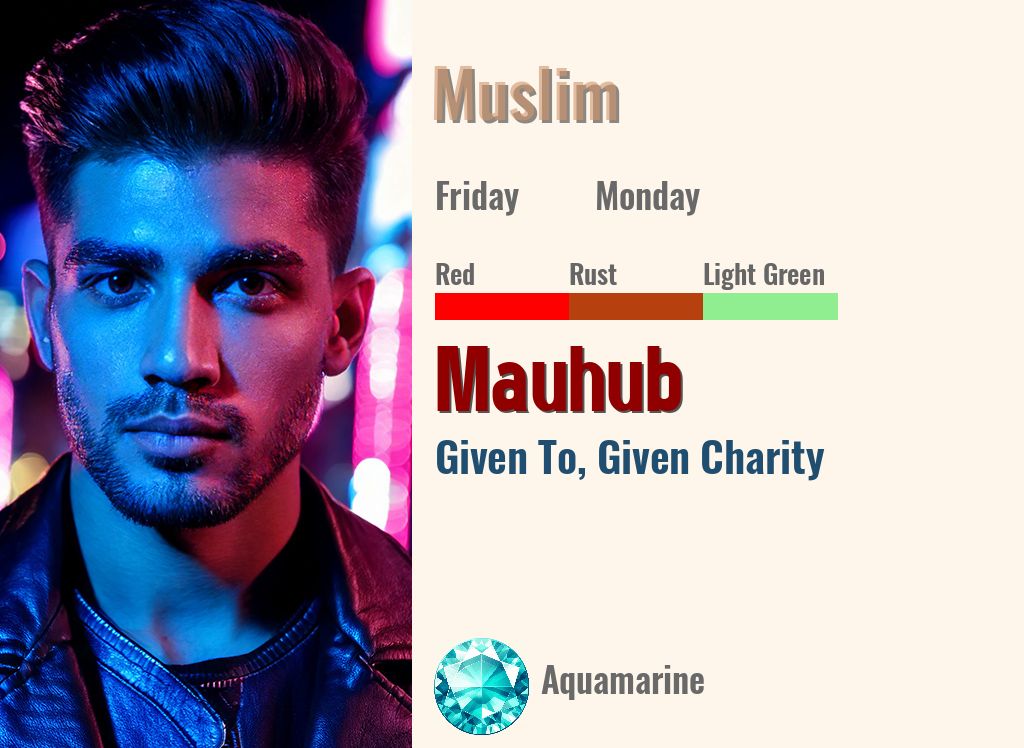 Mauhub