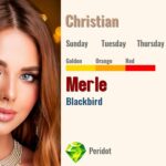 Merle