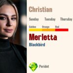 Merletta