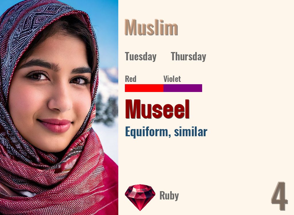 Museel
