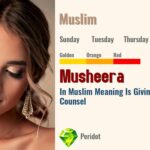 Musheera
