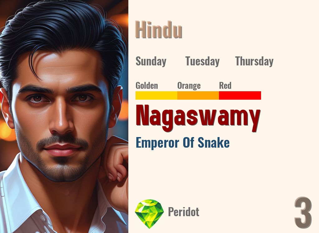 Nagaswamy