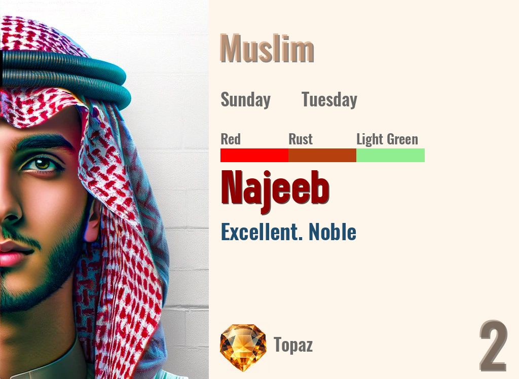 Najeeb
