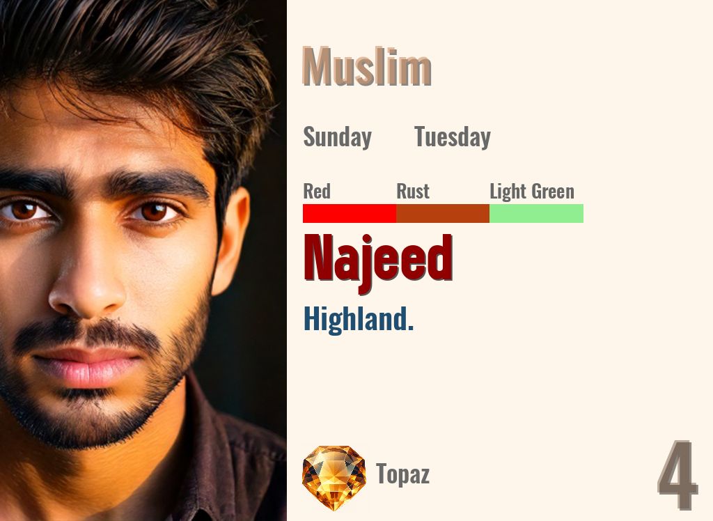Najeed