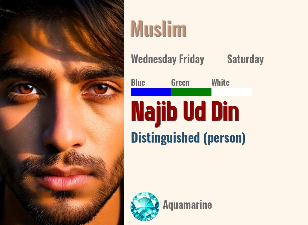 Najib Ud Din