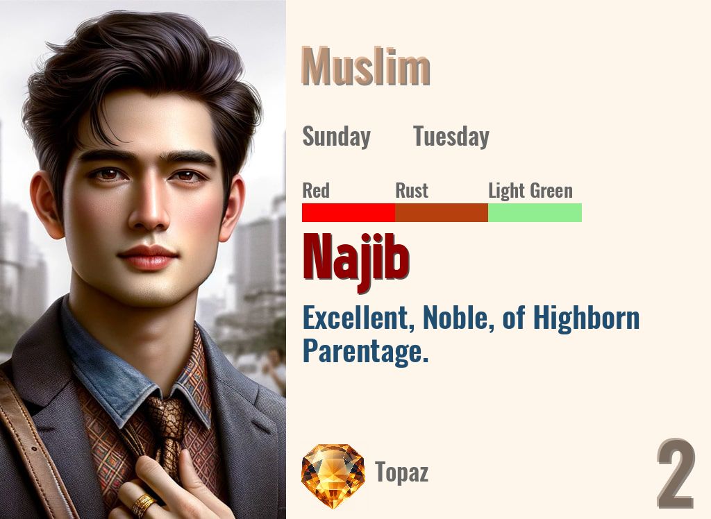 Najib
