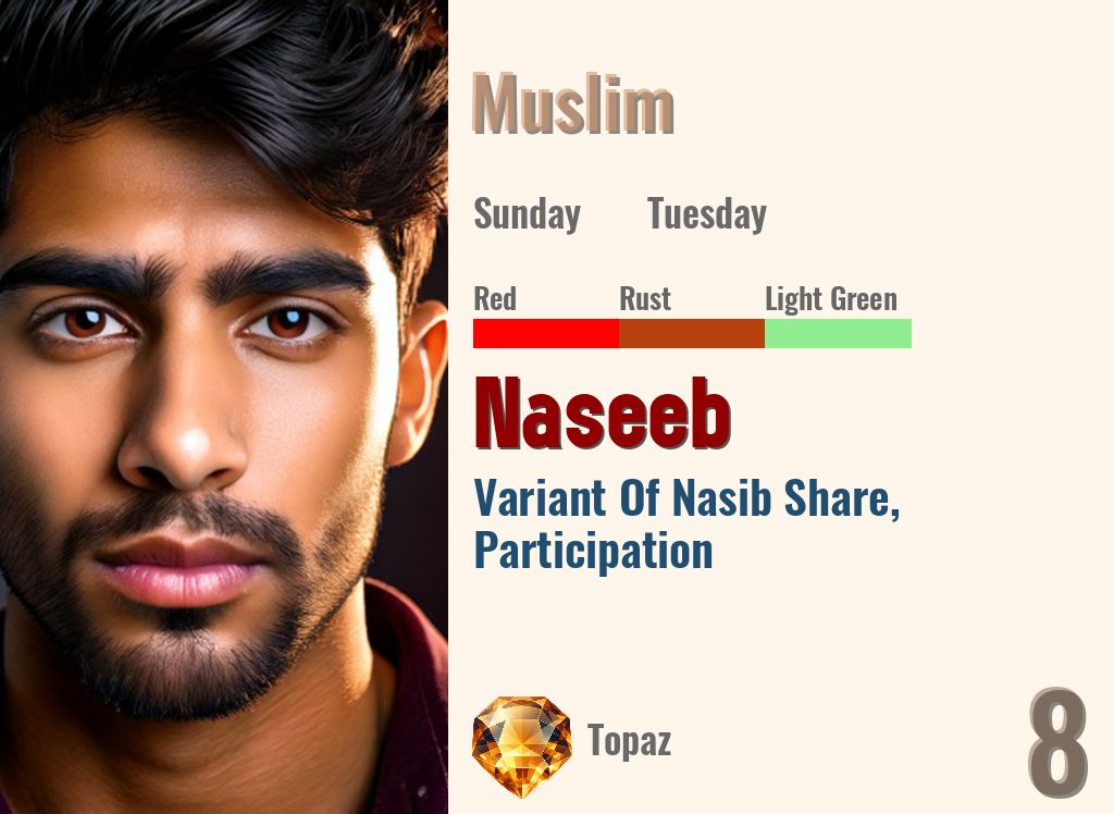 Naseeb