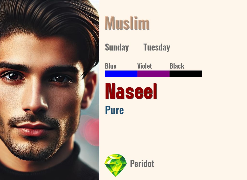 Naseel