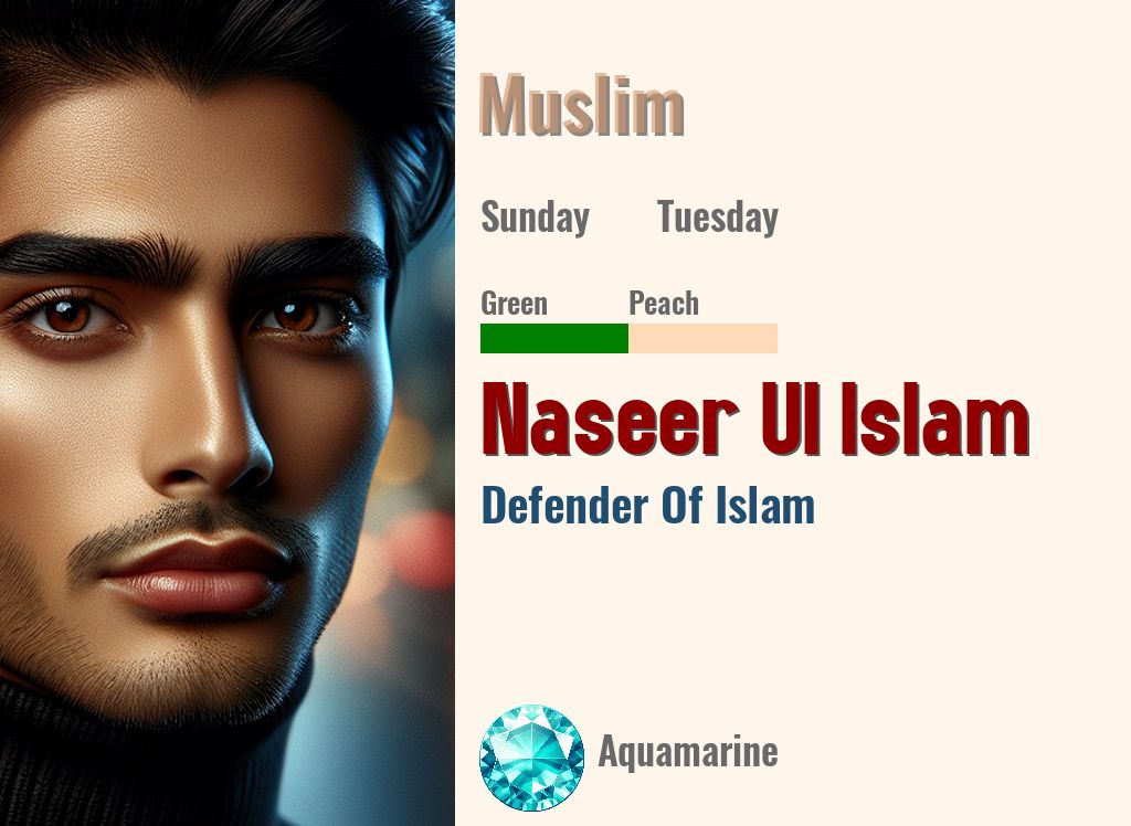 Naseer Ul Islam