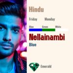 Nellainambi