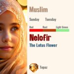 Nelofir