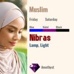 Nibras