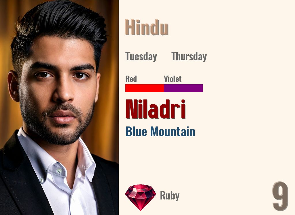 Niladri