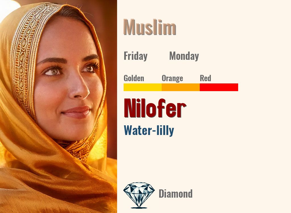 Nilofer