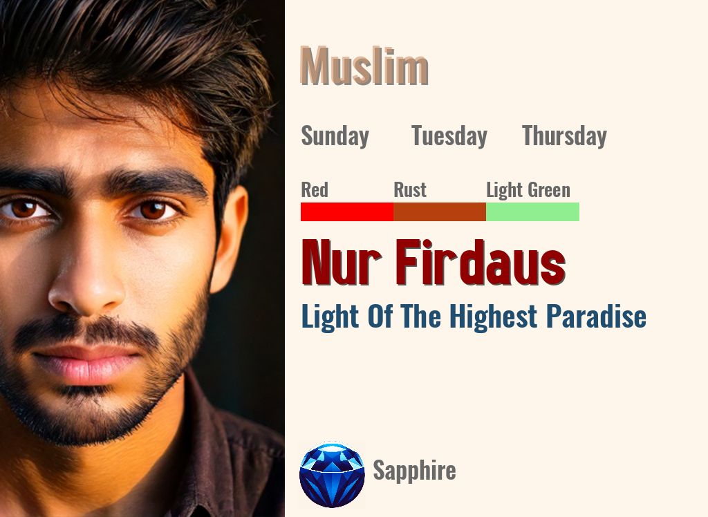 Nur Firdaus