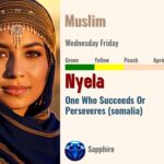 Nyela