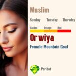 Orwiya