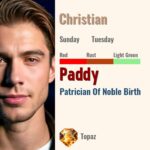 Paddy