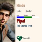 Pipal
