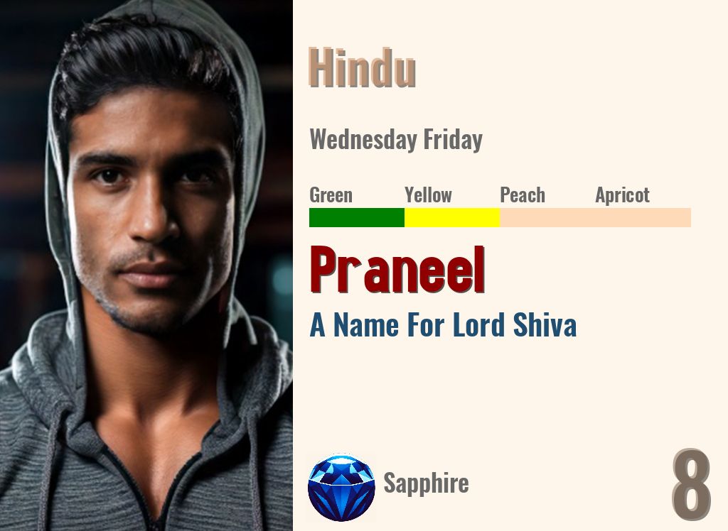 Praneel