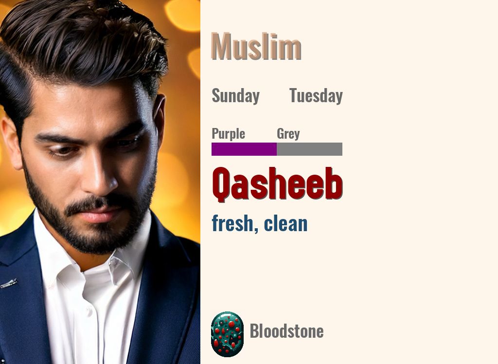 Qasheeb