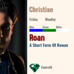 Roan