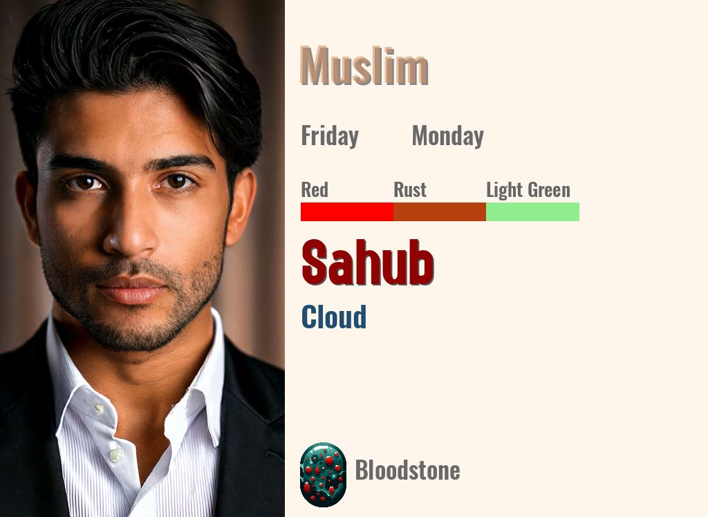 Sahub