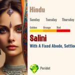 Salini
