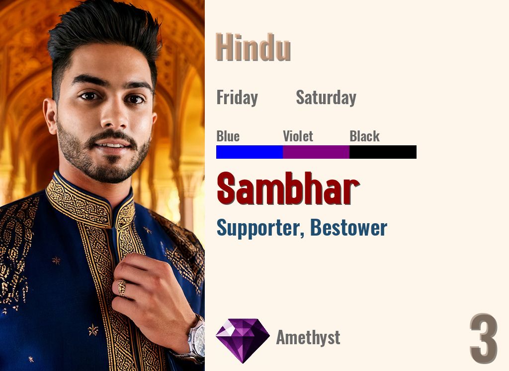 Sambhar