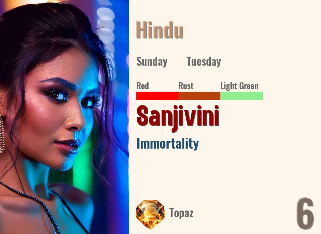 Sanjivini