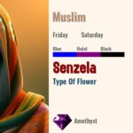 Senzela