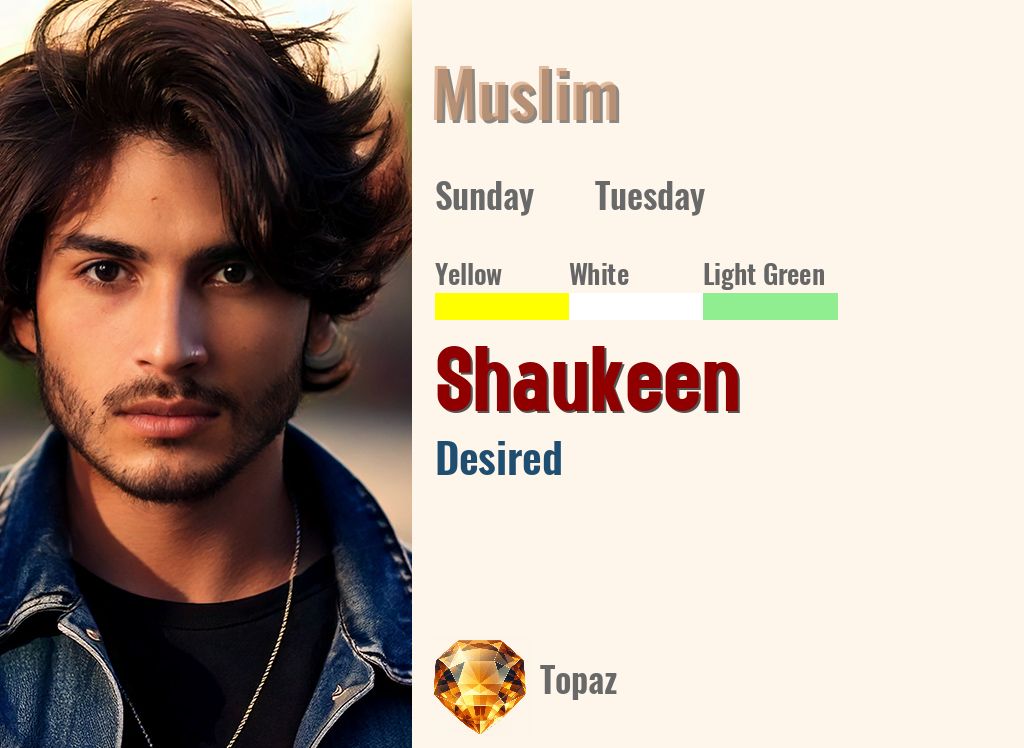 Shaukeen